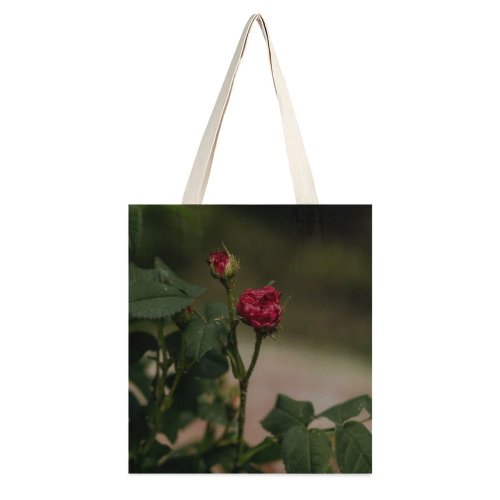 yanfind Great Martin Canvas Tote Bag Double Flower Plant Rose Geranium Public Domain white-style1 38×41cm