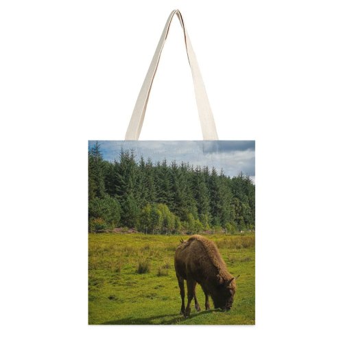 yanfind Great Martin Canvas Tote Bag Double Field Grassland Outdoors Cattle Cow Abies Fir Plant Tree Countryside Farm Meadow white-style1 38×41cm