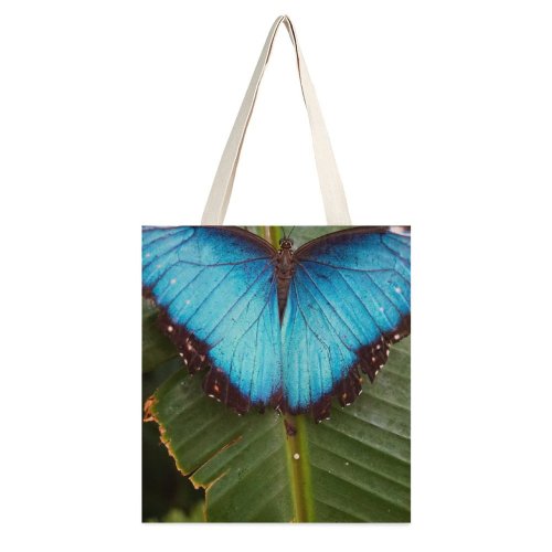 yanfind Great Martin Canvas Tote Bag Double Butterfly Insect Invertebrate #Macrophotography #Insects #Photography #Insect Flower #Instagood #Naturelovers #Beauty #Photooftheday white-style1 38×41cm