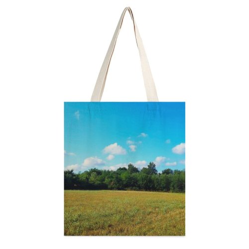 yanfind Great Martin Canvas Tote Bag Double Field Grassland Outdoors Countryside Rural Farm Meadow Land Pasture Plant Grass Azure white-style1 38×41cm