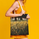 yanfind Great Martin Canvas Tote Bag Double Field Grassland Outdoors Lawn Countryside Farm Meadow Rural Grass Plant Sunset Stock white-style1 38×41cm