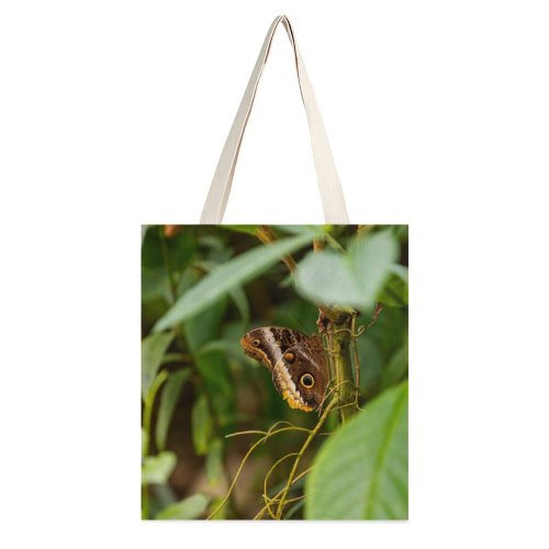 yanfind Great Martin Canvas Tote Bag Double Butterfly Insect Invertebrate Burgers' Antoon Van Hooffplein Arnhem Netherlands Leaf Telephoto white-style1 38×41cm