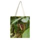 yanfind Great Martin Canvas Tote Bag Double Butterfly Insect Invertebrate Burgers' Antoon Van Hooffplein Arnhem Netherlands Leaf Telephoto white-style1 38×41cm