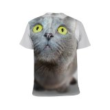 yanfind Adult Full Print T-shirts (men And Women) Adorable Cat Cute Eyes Fur Grey Isolated Kitten Kitty Pet Portrait Veterinary