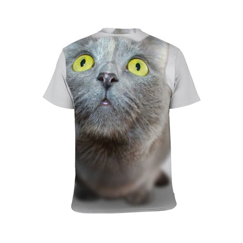 yanfind Adult Full Print T-shirts (men And Women) Adorable Cat Cute Eyes Fur Grey Isolated Kitten Kitty Pet Portrait Veterinary