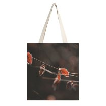 yanfind Great Martin Canvas Tote Bag Double Butterfly Insect Invertebrate Moth Italy Tremezzo Astronomy Bee Eater Birds Leaves Tree white-style1 38×41cm