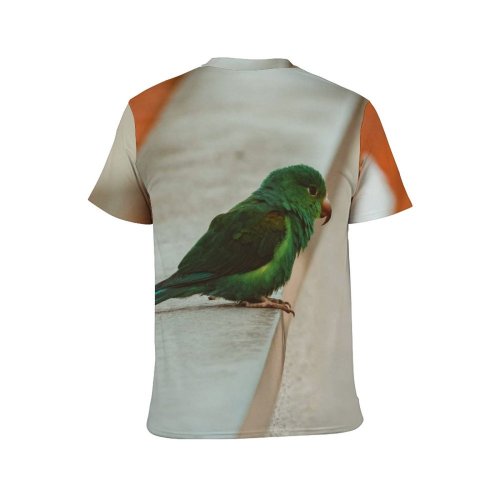 yanfind Adult Full Print T-shirts (men And Women) Alone Beak Bird Building Calm Chick Colorful Construction Daylight Daytime Detail