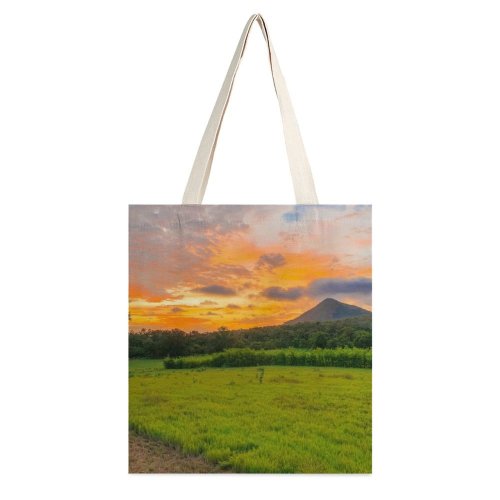 yanfind Great Martin Canvas Tote Bag Double Field Grassland Outdoors Countryside De Guanacaste Curubandé Costa Rica Farm Rural white-style1 38×41cm