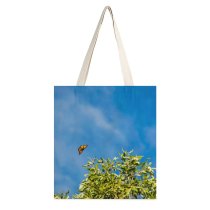 yanfind Great Martin Canvas Tote Bag Double Butterfly Birds Insect Invertebrate Brisbane Qld Australia Monarch Plant Wanderer Milkweed Tree white-style1 38×41cm