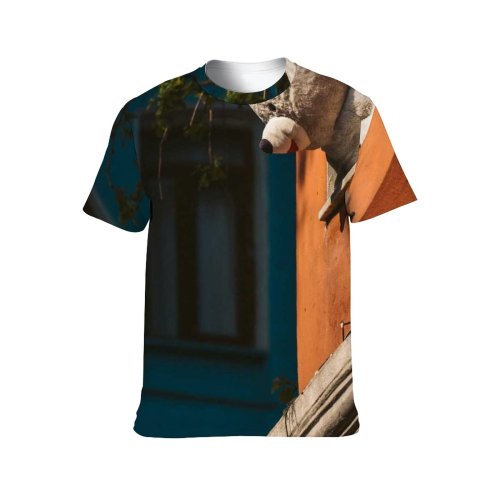 yanfind Adult Full Print T-shirts (men And Women) Adorable Apartment Building Balcony Cute Istanbul Outside Peeking Plush Toy Stuffed Teddy