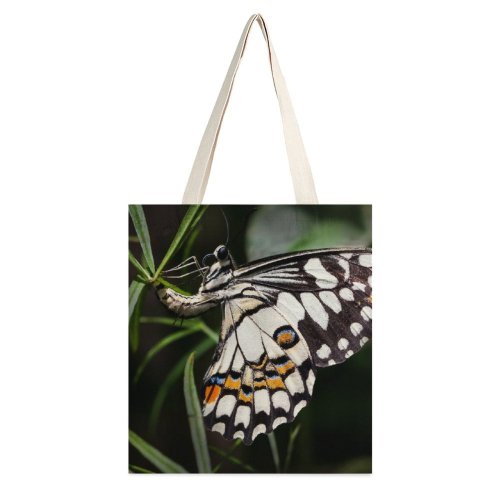 yanfind Great Martin Canvas Tote Bag Double Butterfly Insect Australia Invertebrate Kuranda Sanctuary Egg Laying Egg white-style1 38×41cm