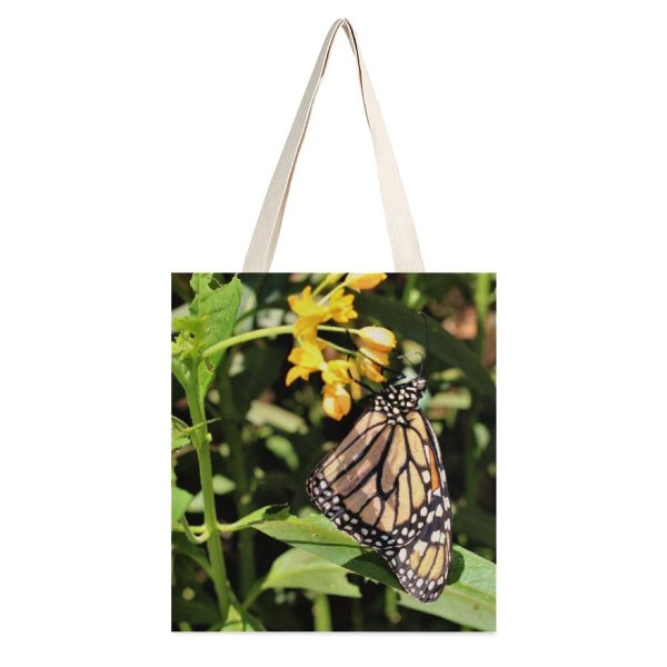 yanfind Great Martin Canvas Tote Bag Double Butterfly Insect Monarch Invertebrate Fruits Pineapple Plant Manteo Nc Usa Dots Flower white-style1 38×41cm