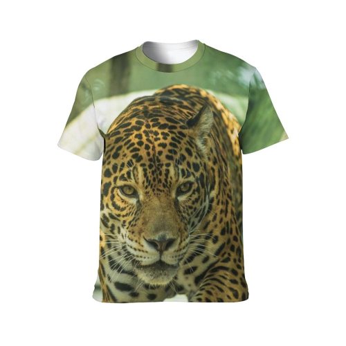 yanfind Adult Full Print T-shirts (men And Women) Africa Attentive Beast Cage Cat Conserve Creature Curious Danger Ecosystem Fauna