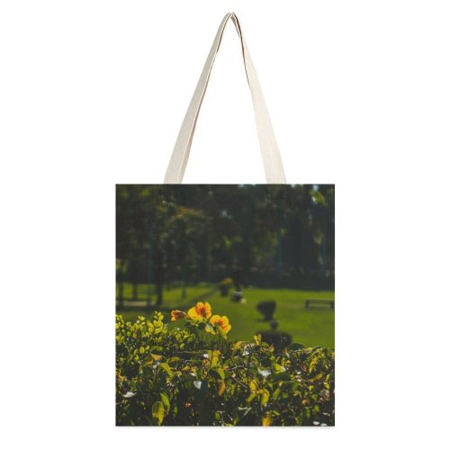 yanfind Great Martin Canvas Tote Bag Double Field Grassland Outdoors Countryside Farm Rural Meadow Plant Lahore Pakistan Jar Potted white-style1 38×41cm