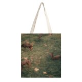yanfind Great Martin Canvas Tote Bag Double Field Grassland Outdoors Antelope Wildlife Countryside Farm Grazing Meadow Pasture Ranch Rural white-style1 38×41cm
