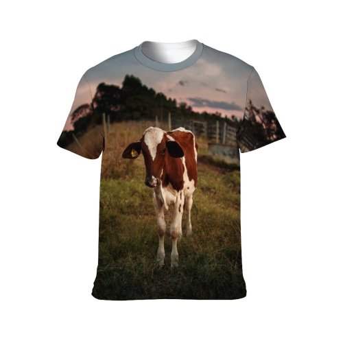 yanfind Adult Full Print T-shirts (men And Women) Agriculture Blurred Country Countryside Cow Eat Farm Farmland Field Grass Grassland