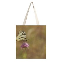 yanfind Great Martin Canvas Tote Bag Double Butterfly Insect Invertebrate Plant Flower Dovetail Tuscany Photo white-style1 38×41cm