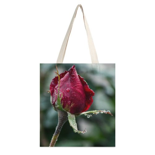 yanfind Great Martin Canvas Tote Bag Double Flower Plant Rose Bud Sprout Public Domain white-style1 38×41cm
