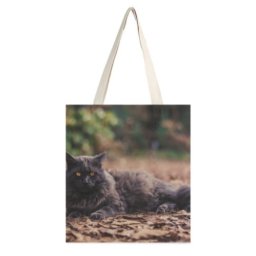 yanfind Great Martin Canvas Tote Bag Double Cat Pet Atlanta United States Grey Woodland Forest Leaves Leaf Portrait Autumn white-style1 38×41cm