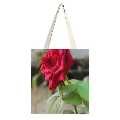 yanfind Great Martin Canvas Tote Bag Double Flower Plant Rose Geranium Jar Pottery Vase white-style1 38×41cm