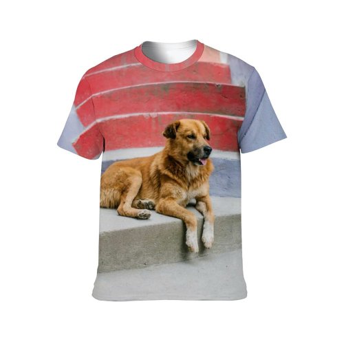 yanfind Adult Full Print T-shirts (men And Women) Adorable Alone Blurred Calm Colorful Creature Curious Cute Dog Enjoy Exterior