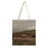 yanfind Great Martin Canvas Tote Bag Double Cow Cattle Outdoors Field Grassland Bull Countryside Plateau Farm Wilderness Wild Winter white-style1 38×41cm