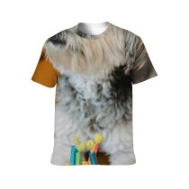 yanfind Adult Full Print T-shirts (men And Women) Adorable Armchair Attention Birthday Cake Celebrate Comfort Congratulate Cozy Creature Dog
