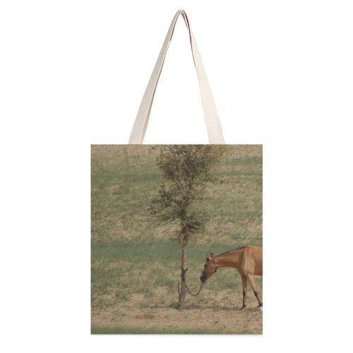 yanfind Great Martin Canvas Tote Bag Double Field Grassland Outdoors Horse Countryside Farm Rural Pasture Meadow Tharparkar Pakistan Ranch white-style1 38×41cm