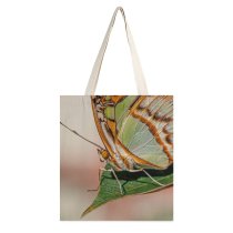yanfind Great Martin Canvas Tote Bag Double Butterfly Invertebrate Insect Tradewinds Park Road Coconut Creek Fl Usa Arachnid white-style1 38×41cm