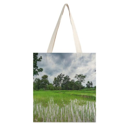 yanfind Great Martin Canvas Tote Bag Double Field Grassland Outdoors Countryside Paddy Plant Vegetation Hua Mueang Nong Bua white-style1 38×41cm