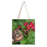 yanfind Great Martin Canvas Tote Bag Double Butterfly Cairns Botanic Gardens Insect Invertebrate Collins Avenue Hill Qld Australia Proboscis white-style1 38×41cm