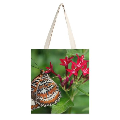 yanfind Great Martin Canvas Tote Bag Double Butterfly Cairns Botanic Gardens Insect Invertebrate Collins Avenue Hill Qld Australia Proboscis white-style1 38×41cm