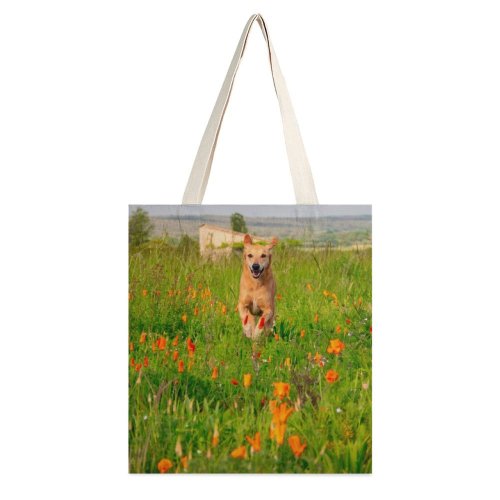 yanfind Great Martin Canvas Tote Bag Double Field Grassland Outdoors Dog Pet Golden Countryside Farm Meadow Rural Flower white-style1 38×41cm