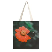yanfind Great Martin Canvas Tote Bag Double Cosmos Flower Butterfly Escalante City Philippines Floral Petal Flora Blooming Bloom Insect white-style1 38×41cm