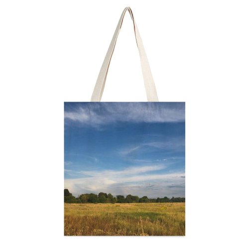 yanfind Great Martin Canvas Tote Bag Double Field Grassland Outdoors Countryside Brovars'kyi Rayon Savanna Landscape Land Rural Farm Meadow white-style1 38×41cm