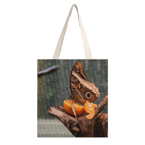 yanfind Great Martin Canvas Tote Bag Double Butterfly Insect Invertebrate Lizard Reptile Budapest Állatkert Magyarország Plant Monarch white-style1 38×41cm