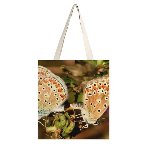 yanfind Great Martin Canvas Tote Bag Double Butterfly Insect Invertebrate Monarch Photo Stock white-style1 38×41cm