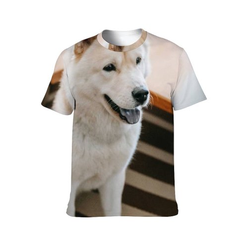 yanfind Adult Full Print T-shirts (men And Women) Adorable Akita Inu Anonymous Apartment Armchair Home Carpet Creature Crop