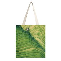 yanfind Great Martin Canvas Tote Bag Double Field Grassland Outdoors Rug Landscape Agriculture Plant Countryside Vegetation Scenery Summer Grass white-style1 38×41cm