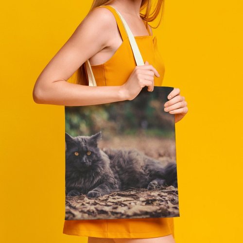 yanfind Great Martin Canvas Tote Bag Double Cat Pet Atlanta United States Grey Woodland Forest Leaves Leaf Portrait Autumn white-style1 38×41cm