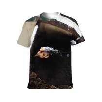 yanfind Adult Full Print T-shirts (men And Women) Agriculture Barn Bird Chicken Dame Farm Feathers Hen Nest Outdoors Portrait Poultry