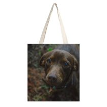yanfind Great Martin Canvas Tote Bag Double Dog Pet Puppies Leaves Foliage Woodland Forest Garden Little Grey white-style1 38×41cm