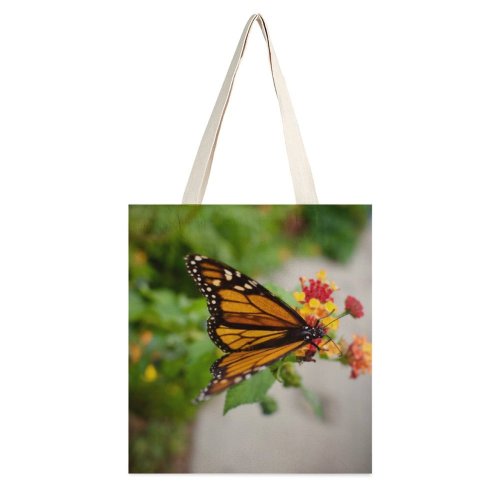 yanfind Great Martin Canvas Tote Bag Double Butterfly Insect Invertebrate Monarch Auckland Zealand Bee Honey Flower Creative Commons white-style1 38×41cm