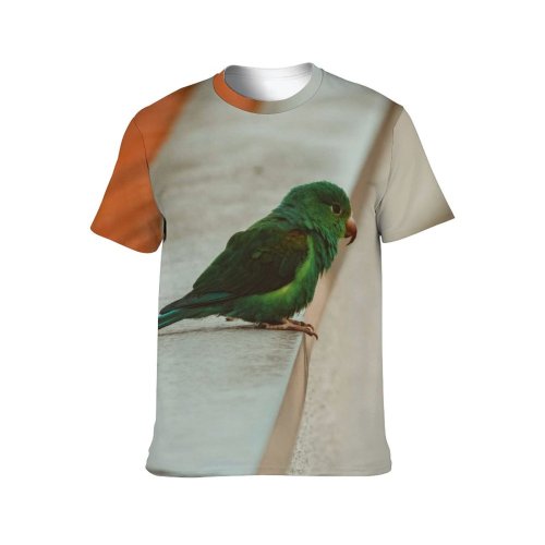 yanfind Adult Full Print T-shirts (men And Women) Alone Beak Bird Building Calm Chick Colorful Construction Daylight Daytime Detail