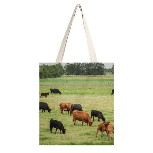 yanfind Great Martin Canvas Tote Bag Double Cattle Cow Field Grassland Outdoors Farm Countryside Meadow Rural Pasture Ranch Bull white-style1 38×41cm