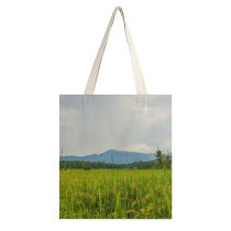 yanfind Great Martin Canvas Tote Bag Double Field Grassland Outdoors Countryside Paddy Kerala India Plant Vegetation Rural Farm Stock white-style1 38×41cm