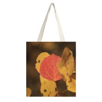 yanfind Great Martin Canvas Tote Bag Double Brighton Resort United States Autumn Leaves Leaf Foliage Birch Flora Plant Tree white-style1 38×41cm