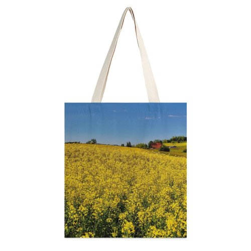 yanfind Great Martin Canvas Tote Bag Double Field Grassland Outdoors Farm Countryside Meadow Rural Switzerland Landscape Spring Flower Creative white-style1 38×41cm