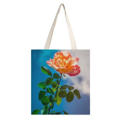 yanfind Great Martin Canvas Tote Bag Double Flower Plant Rose Lajeado Rs Brasil Petal Veins Leaf white-style1 38×41cm