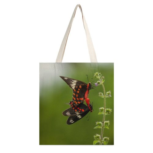 yanfind Great Martin Canvas Tote Bag Double Butterfly Insect Invertebrate Monarch Birds white-style1 38×41cm